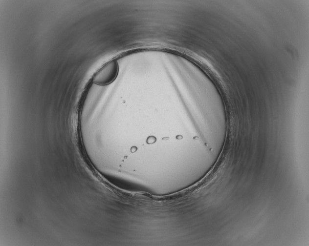 X0000112891424200909111455