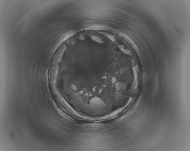 X0000112891425200909111455