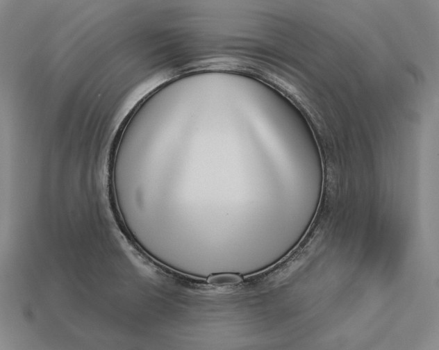 X0000112891426200909111455