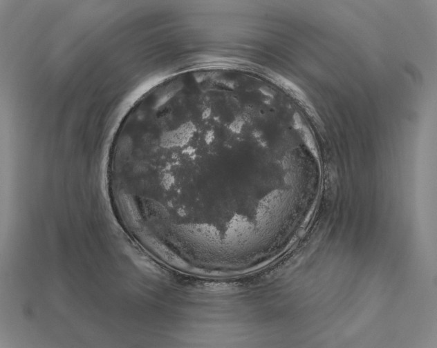 X0000112891427200909111455