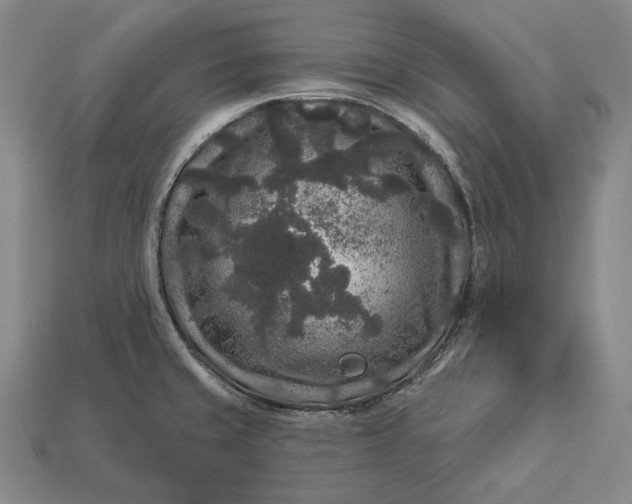 X0000112891429200909111455