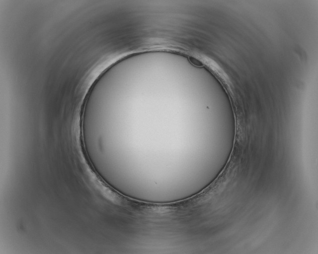 X0000112891431200909111455