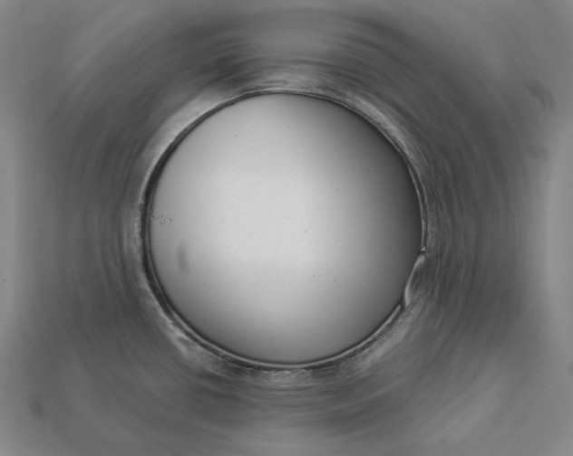X0000112891434200909111455