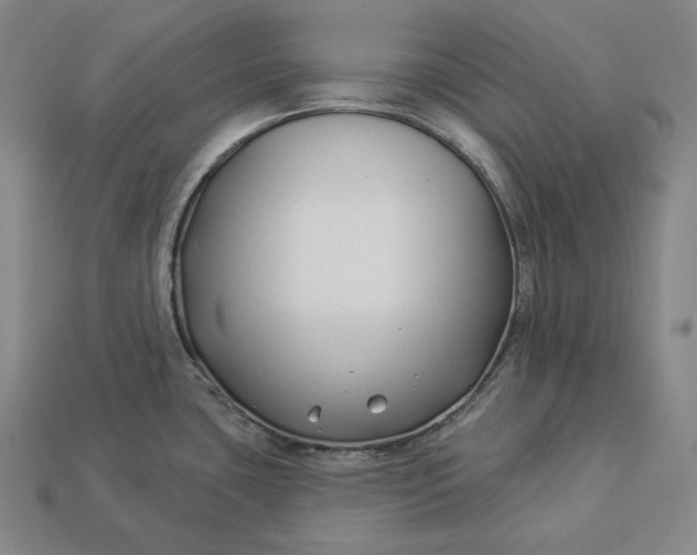 X0000112891435200909111455