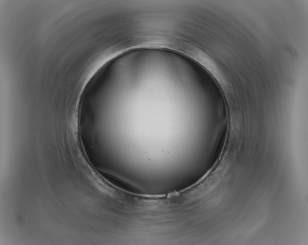 X0000112891436200909111455