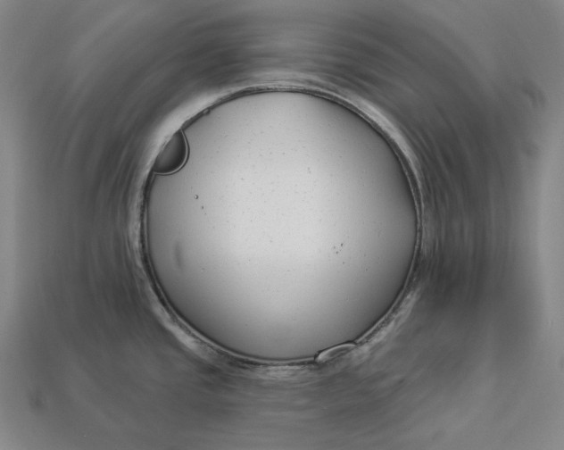 X0000112891437200909111455