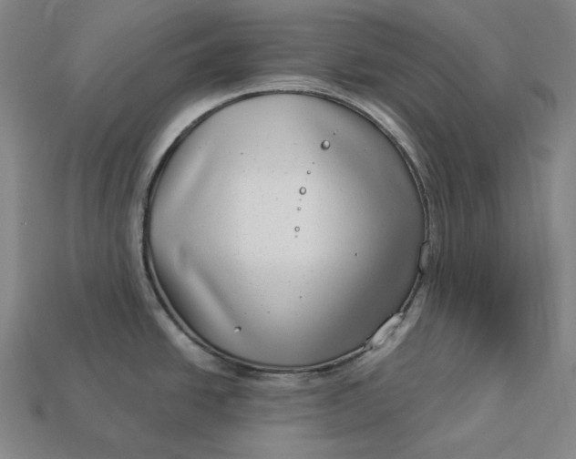 X0000112891438200909111455