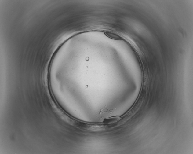 X0000112891439200909111455