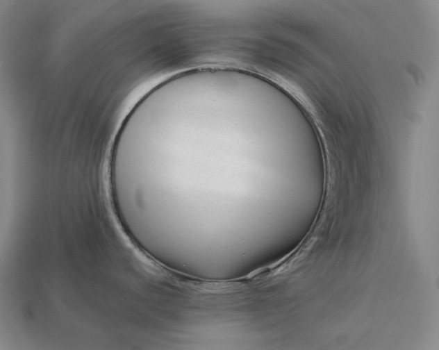 X0000112891440200909111455