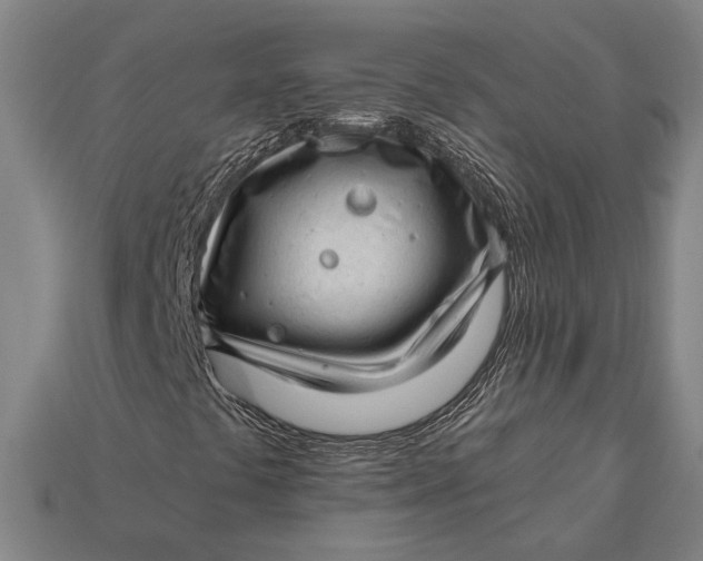 X0000112891441200909111454