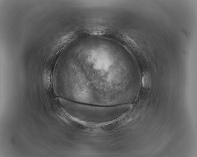X0000112891444200909111454