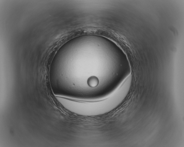 X0000112891445200909111454