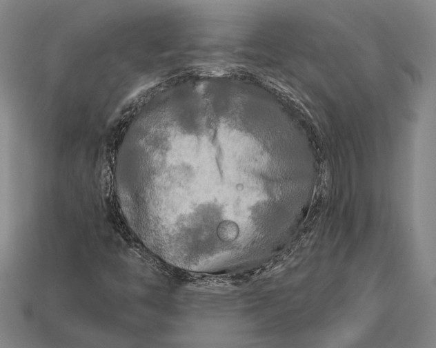 X0000112891446200909111454