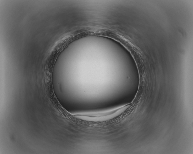 X0000112891447200909111454