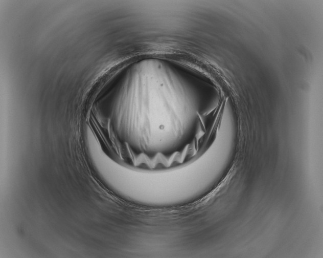 X0000112891449200909111454