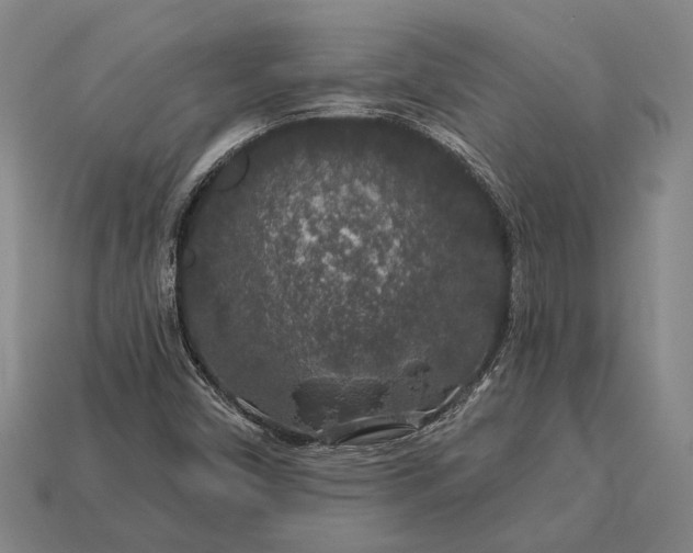 X0000112891450200909111454