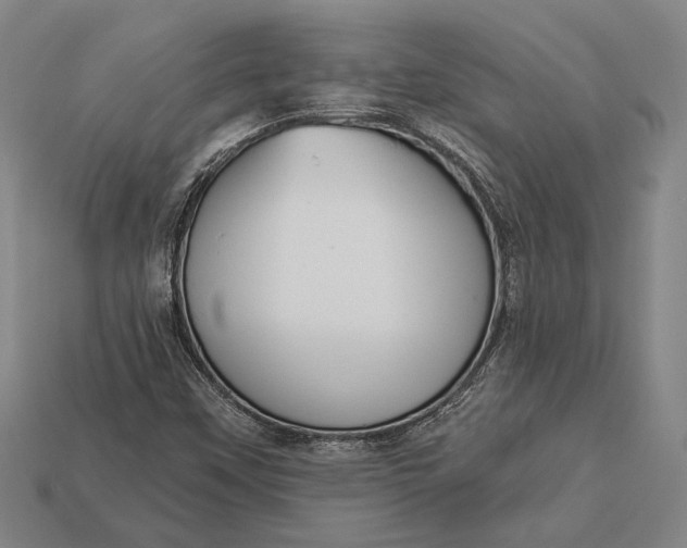 X0000112891451200909111454