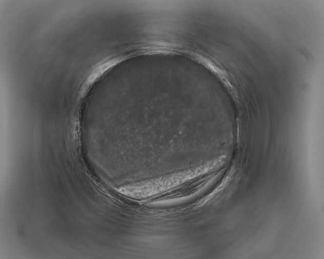 X0000112891453200909111454