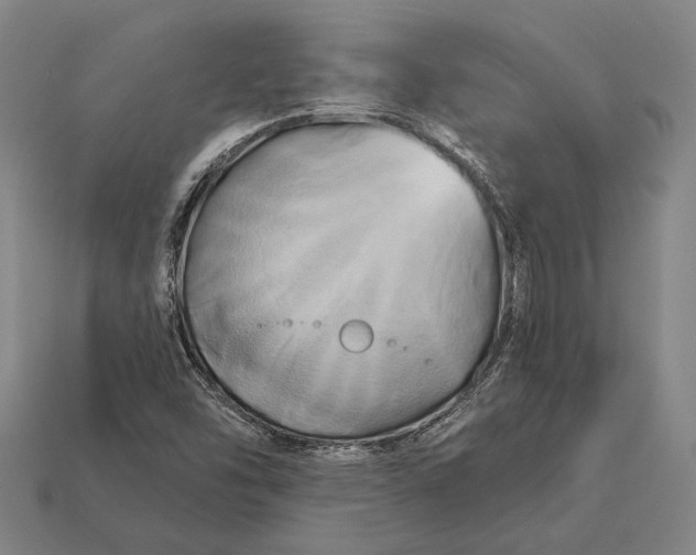 X0000112891454200909111454
