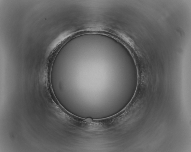 X0000112891456200909111454