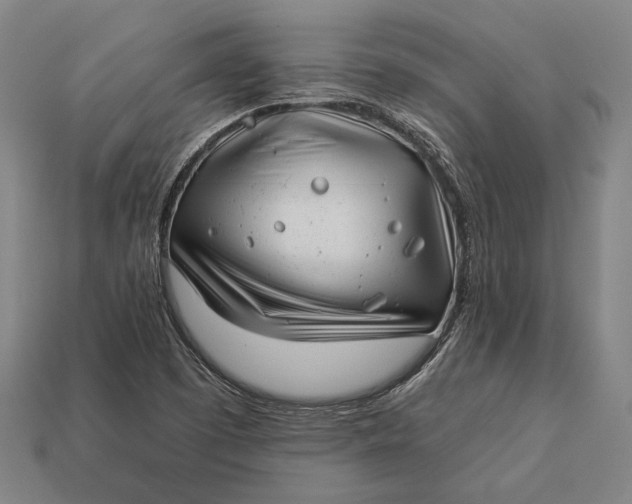 X0000112891457200909111454