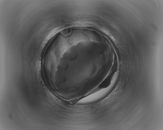 X0000112891459200909111454
