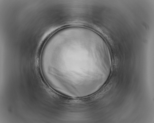 X0000112891462200909111454
