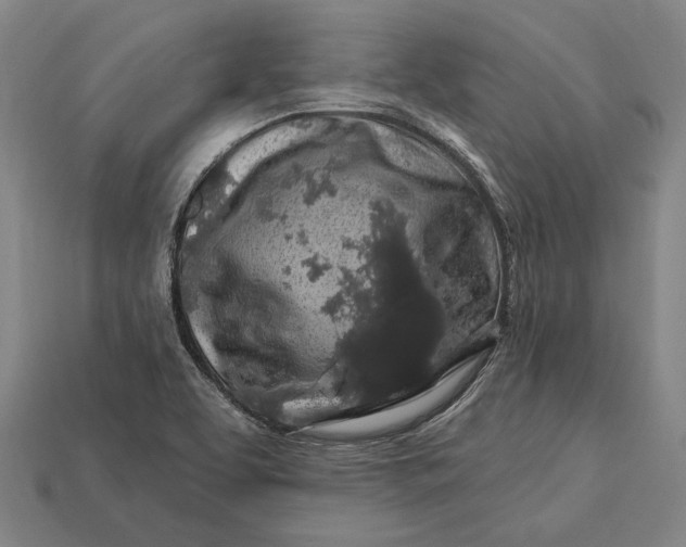 X0000112891463200909111454