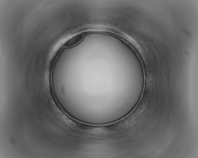X0000112891464200909111454