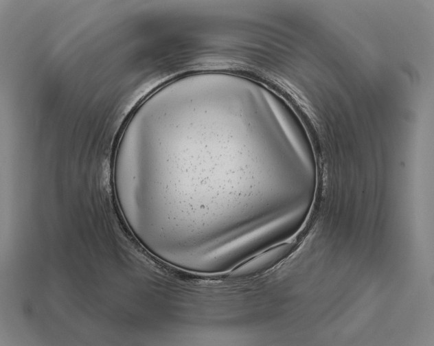 X0000112891465200909111454