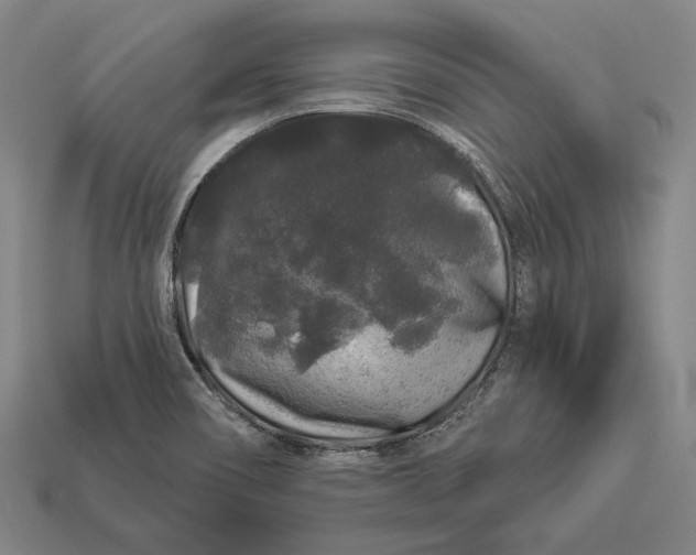 X0000112891466200909111454