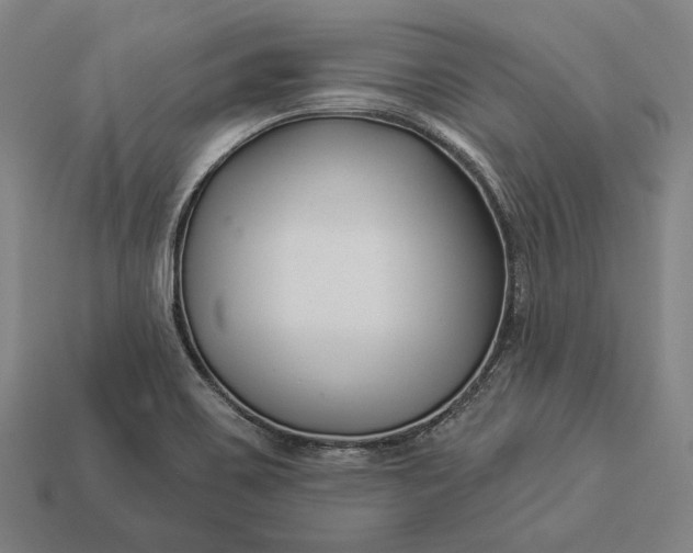 X0000112891467200909111454