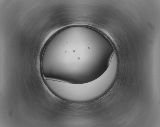 X0000112891468200909111454