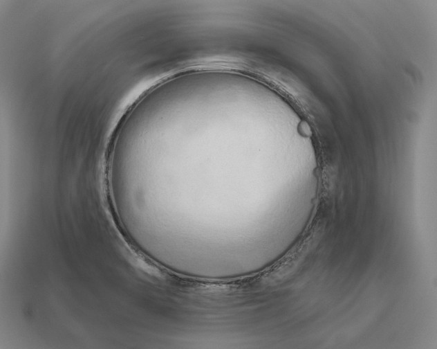 X0000112891470200909111454