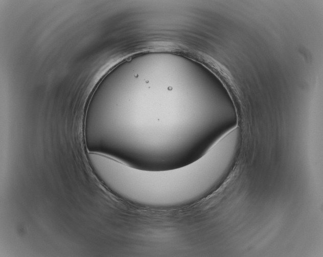 X0000112891473200909111454