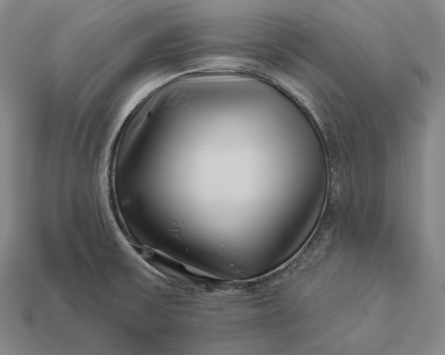 X0000112891475200909111454