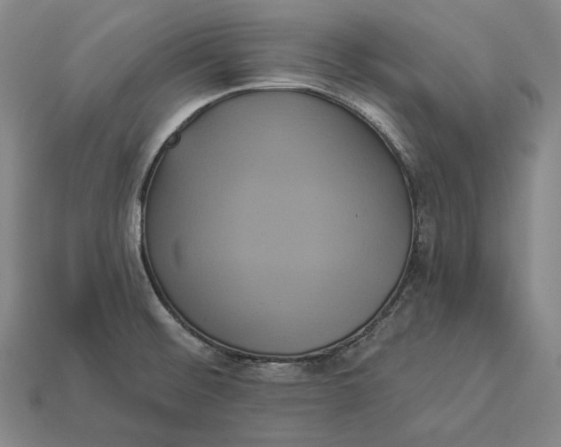 X0000112891476200909111454