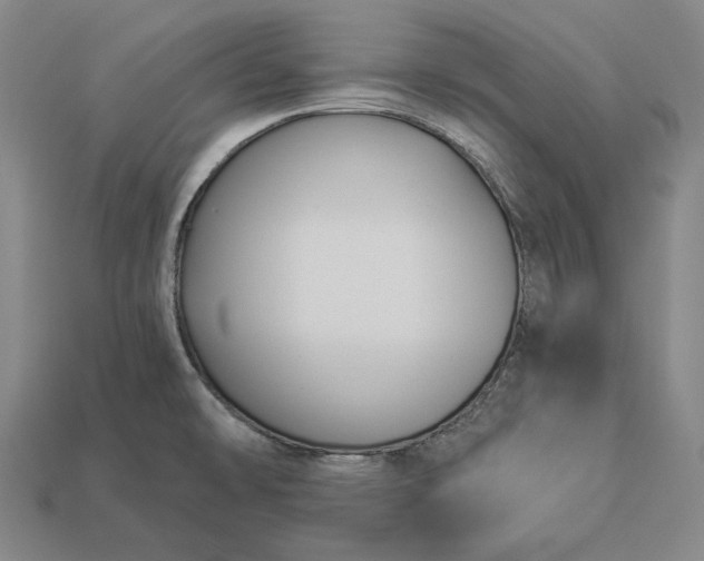 X0000112891478200909111454