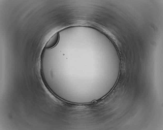 X0000112891479200909111454