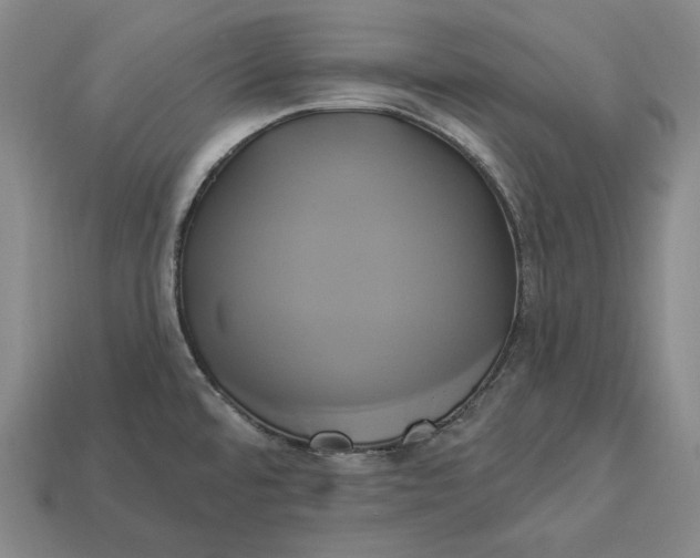 X0000112891480200909111454