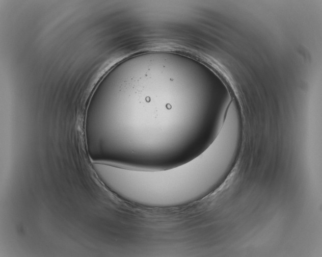 X0000112891481200909111454