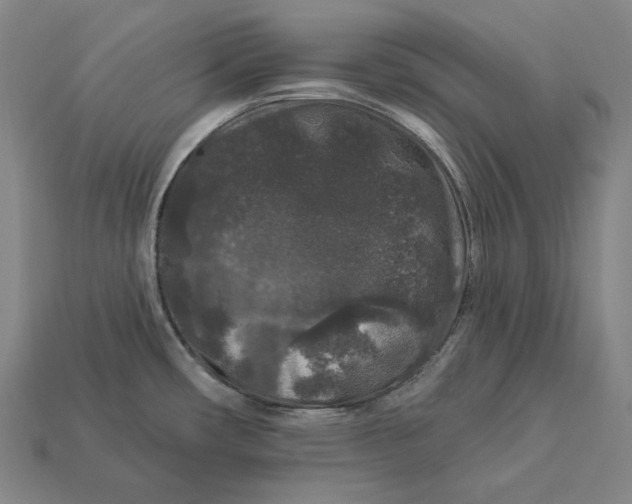 X0000112891482200909111454