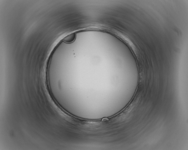 X0000112891483200909111454