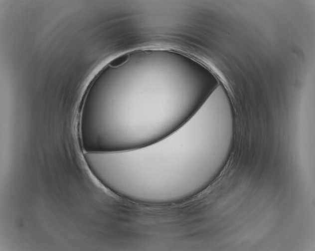 X0000112891484200909111454