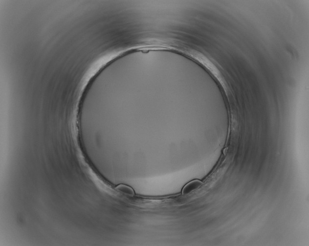 X0000112891485200909111454