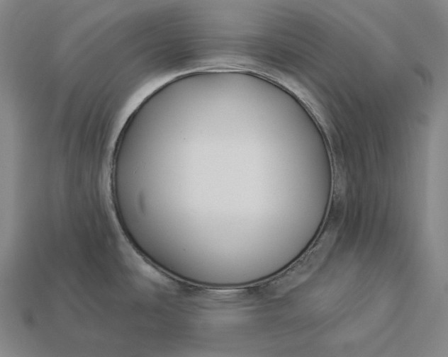 X0000112891486200909111454