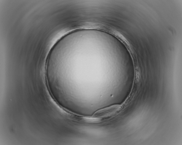 X0000112891487200909111454