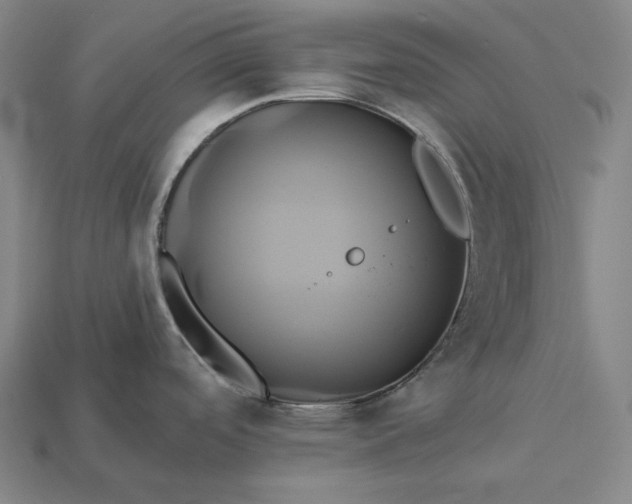 X0000112891488200909111454