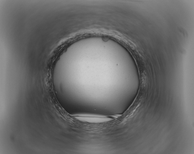 X0000112891494200909111453