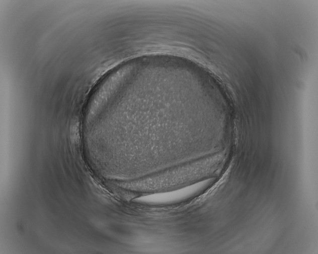 X0000112891497200909111453